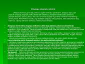 Drėgnųjų atogrąžų miškų augalija bei gyvūnija 10 puslapis