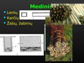 Drenažo sistema 13 puslapis