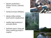 Dujų sieros teršalai jų koncentracijos, taršos šaltiniai, pavojingumas, leidžiamos normos pasaulyje ir Lietuvoje 15 puslapis