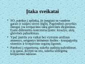 Dujų sieros teršalai jų koncentracijos, taršos šaltiniai, pavojingumas, leidžiamos normos pasaulyje ir Lietuvoje 16 puslapis