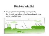 Dujų sieros teršalai jų koncentracijos, taršos šaltiniai, pavojingumas, leidžiamos normos pasaulyje ir Lietuvoje 10 puslapis