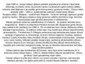 Džiazo atsiradimo istorija 11 puslapis