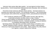 Džiazo atsiradimo istorija 13 puslapis