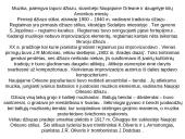 Džiazo atsiradimo istorija 6 puslapis