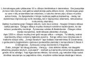 Džiazo atsiradimo istorija 7 puslapis