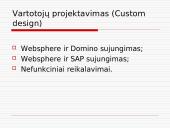 E-verslo šablonai 14 puslapis