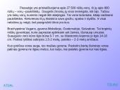 Egzotiniai gyvūnai: tarantulai 3 puslapis