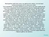 Egzotiniai gyvūnai: tarantulai 10 puslapis