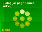 Ekologija ir ekosistema 4 puslapis