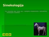 Ekologija ir ekosistema 10 puslapis