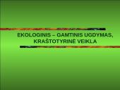 Ekologinis-gamtinis ugdymas, kraštotyrinė veikla