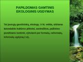 Ekologinis-gamtinis ugdymas, kraštotyrinė veikla 2 puslapis