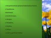 Ekologinis-gamtinis ugdymas, kraštotyrinė veikla 11 puslapis