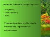 Ekologinis-gamtinis ugdymas, kraštotyrinė veikla 13 puslapis
