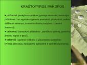 Ekologinis-gamtinis ugdymas, kraštotyrinė veikla 16 puslapis