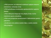 Ekologinis-gamtinis ugdymas, kraštotyrinė veikla 17 puslapis