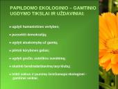 Ekologinis-gamtinis ugdymas, kraštotyrinė veikla 3 puslapis