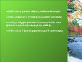 Ekologinis-gamtinis ugdymas, kraštotyrinė veikla 4 puslapis