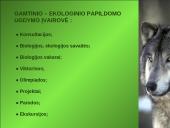 Ekologinis-gamtinis ugdymas, kraštotyrinė veikla 10 puslapis