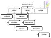 Ekonominiai tyrimo metodai 3 puslapis