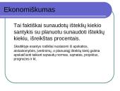 Ekonominis įmonės veiklos tyrimo aspektas 15 puslapis