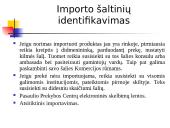 Eksportas ir importas: pagrindiniai aspektai 13 puslapis