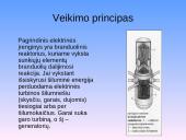 Elektrinės 6 puslapis