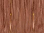 Elektrinis laukas 13 puslapis