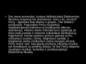 Elektroninės muzikos istorija bei stiliai 6 puslapis