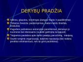 Elgesys derybų metu 6 puslapis