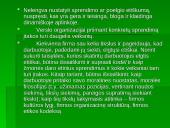 Etiško sprendimo priėmimas 3 puslapis