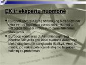 Euro įvedimas Baltijos šalyse 16 puslapis