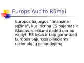 Europos audito rūmai 4 puslapis