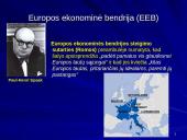 Europos bendrijos steigiamųjų ir jas papildžiusių sutarčių tikslai bei įtaka integraciniams procesams 12 puslapis