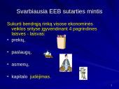 Europos bendrijos steigiamųjų ir jas papildžiusių sutarčių tikslai bei įtaka integraciniams procesams 14 puslapis