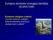 Europos bendrijos steigiamųjų ir jas papildžiusių sutarčių tikslai bei įtaka integraciniams procesams 17 puslapis