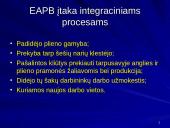 Europos bendrijos steigiamųjų ir jas papildžiusių sutarčių tikslai bei įtaka integraciniams procesams 10 puslapis
