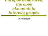 Europos bendrovės. Europos ekonominių interesų grupės. Įmonių teisė