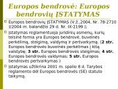 Europos bendrovės. Europos ekonominių interesų grupės. Įmonių teisė 2 puslapis