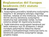 Europos bendrovės. Europos ekonominių interesų grupės. Įmonių teisė 11 puslapis