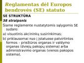 Europos bendrovės. Europos ekonominių interesų grupės. Įmonių teisė 12 puslapis