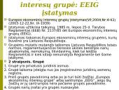 Europos bendrovės. Europos ekonominių interesų grupės. Įmonių teisė 15 puslapis