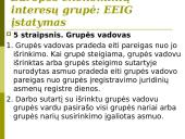 Europos bendrovės. Europos ekonominių interesų grupės. Įmonių teisė 17 puslapis