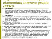 Europos bendrovės. Europos ekonominių interesų grupės. Įmonių teisė 19 puslapis