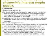 Europos bendrovės. Europos ekonominių interesų grupės. Įmonių teisė 20 puslapis