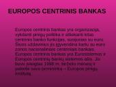 Europos Centrinis Bankas ir jo veikla 4 puslapis
