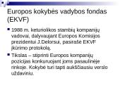 Europos kokybės vadybos fondas 2 puslapis