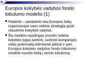 Europos kokybės vadybos fondas 3 puslapis