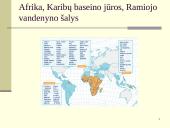 Europos Sąjunga (ES) pasaulio arenoje 17 puslapis