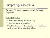 Europos Sąjunga (ES) pasaulio arenoje 5 puslapis